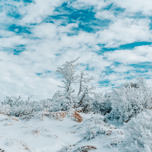 성산일출봉 겨울 등반 가이드