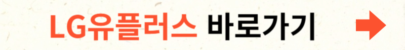 해외로밍
