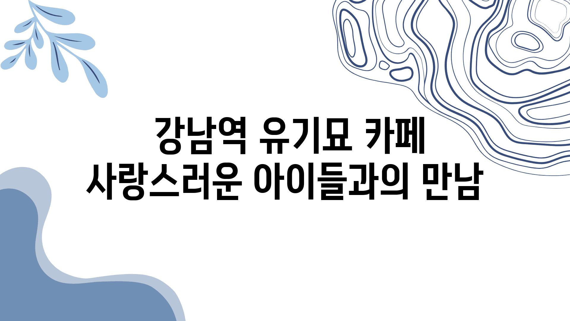  강남역 유기묘 카페 사랑스러운 아이들과의 만남