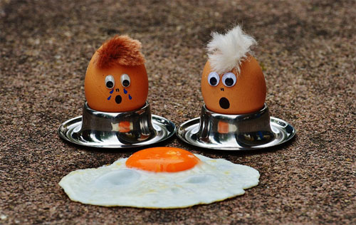 계란 효능 및 계란 효과&#44; 달걀 효능