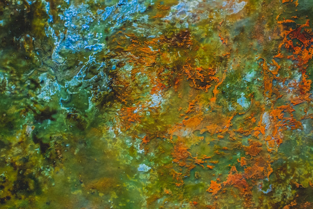 Mold