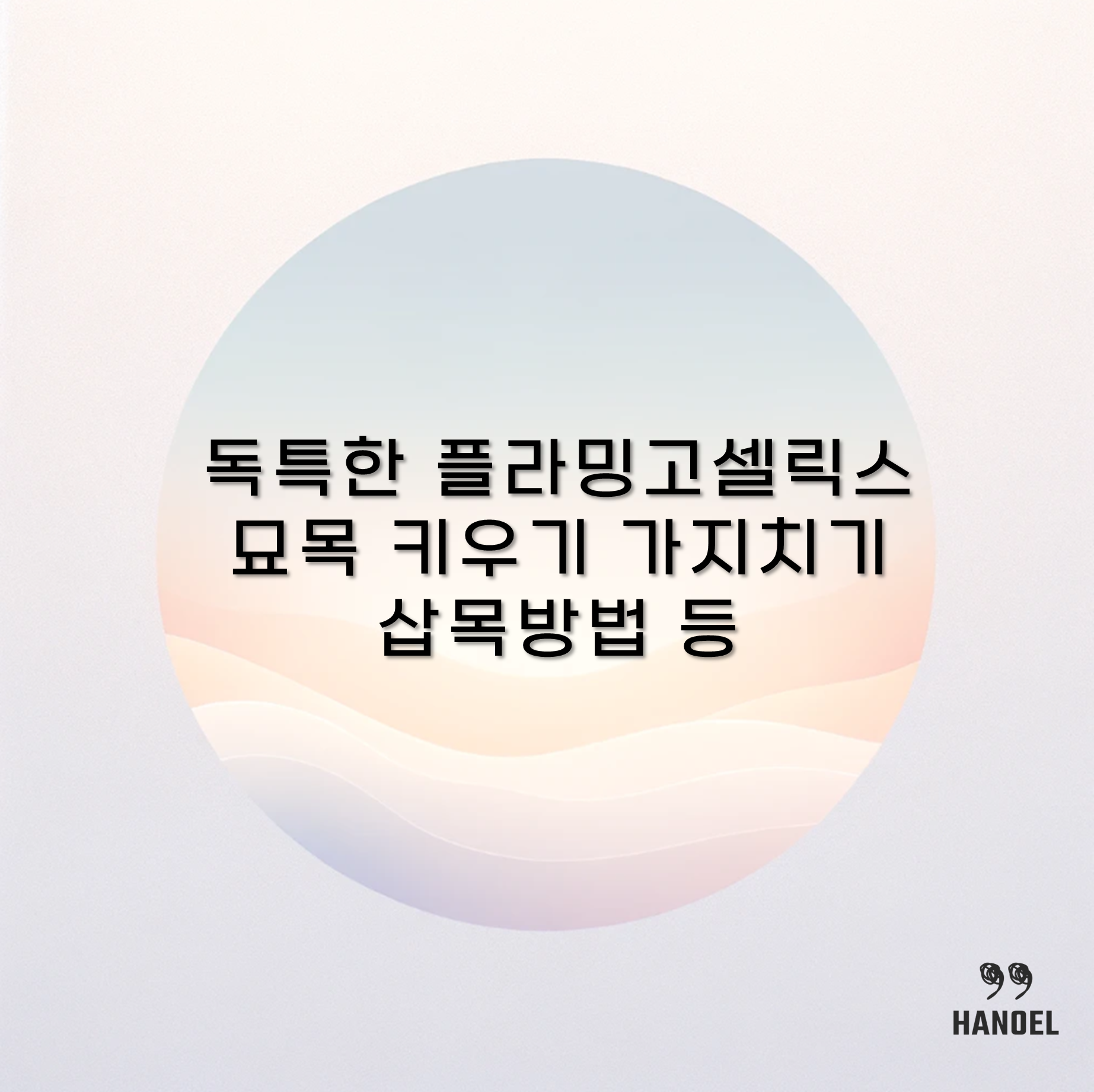 독특한 플라밍고셀릭스 묘목 키우기 가지치기 삽목방법 등