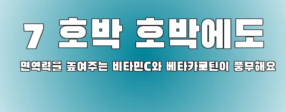  7 호박 호박에도 면역력을 높여주는 비타민C와 베타카로틴이 풍부해요