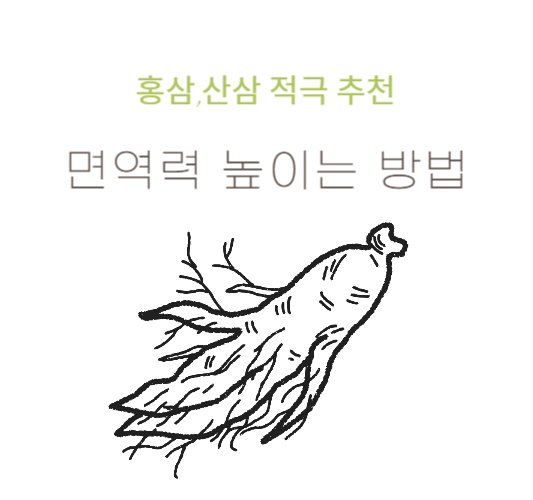 면역력높이는방법-홍삼&#44;산삼