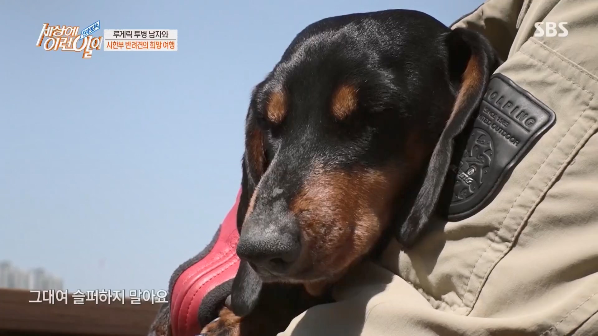 순간포착 세상에 이런일이.E1226.230418p.H264-F1RST.mp4_20230419_195518.066.jpg