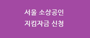 서울 소상공인 지킴자금