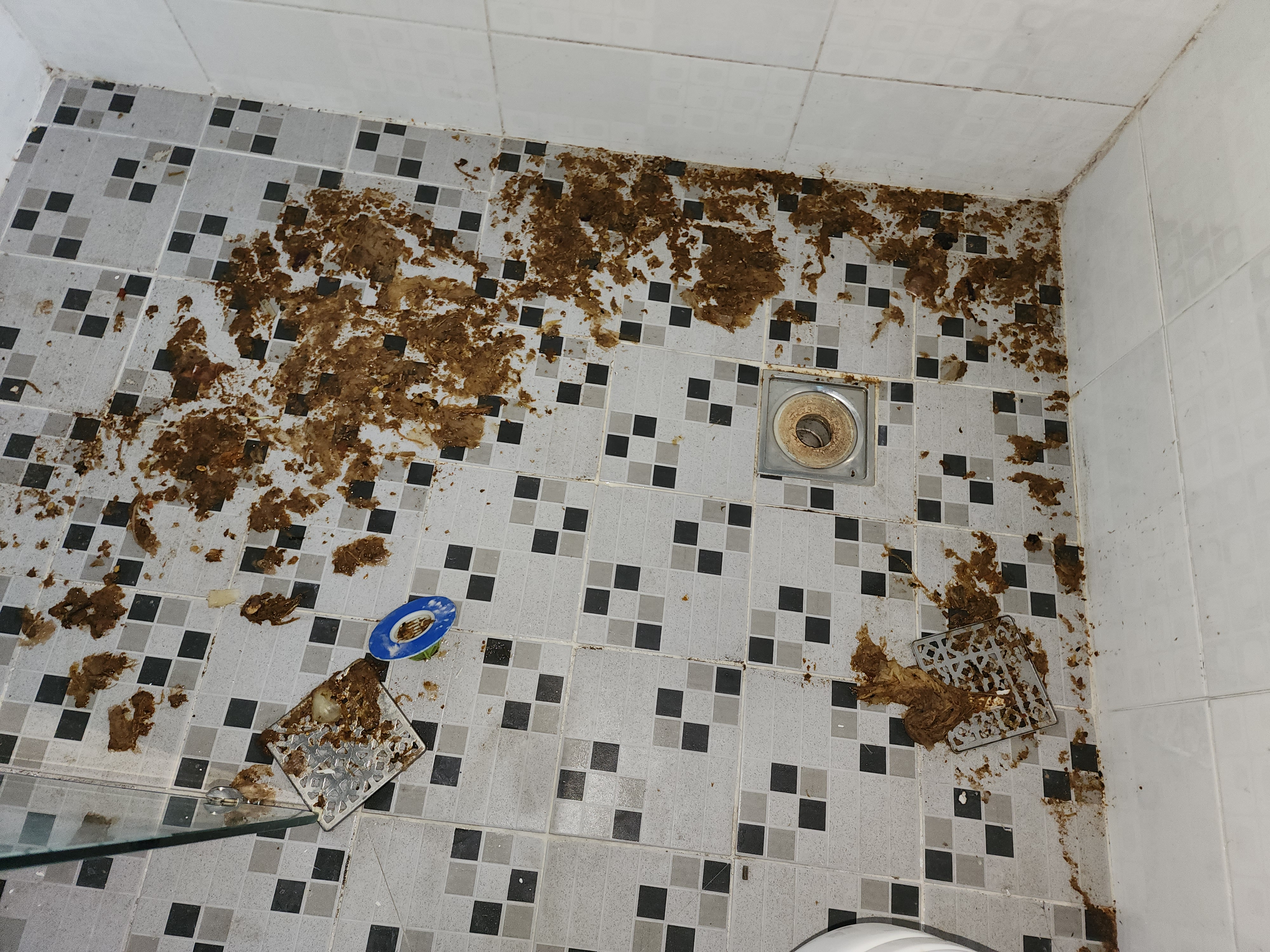  변기막힘!오수관 역류현장!오수관은 왜 막히는지 알아볼까요?