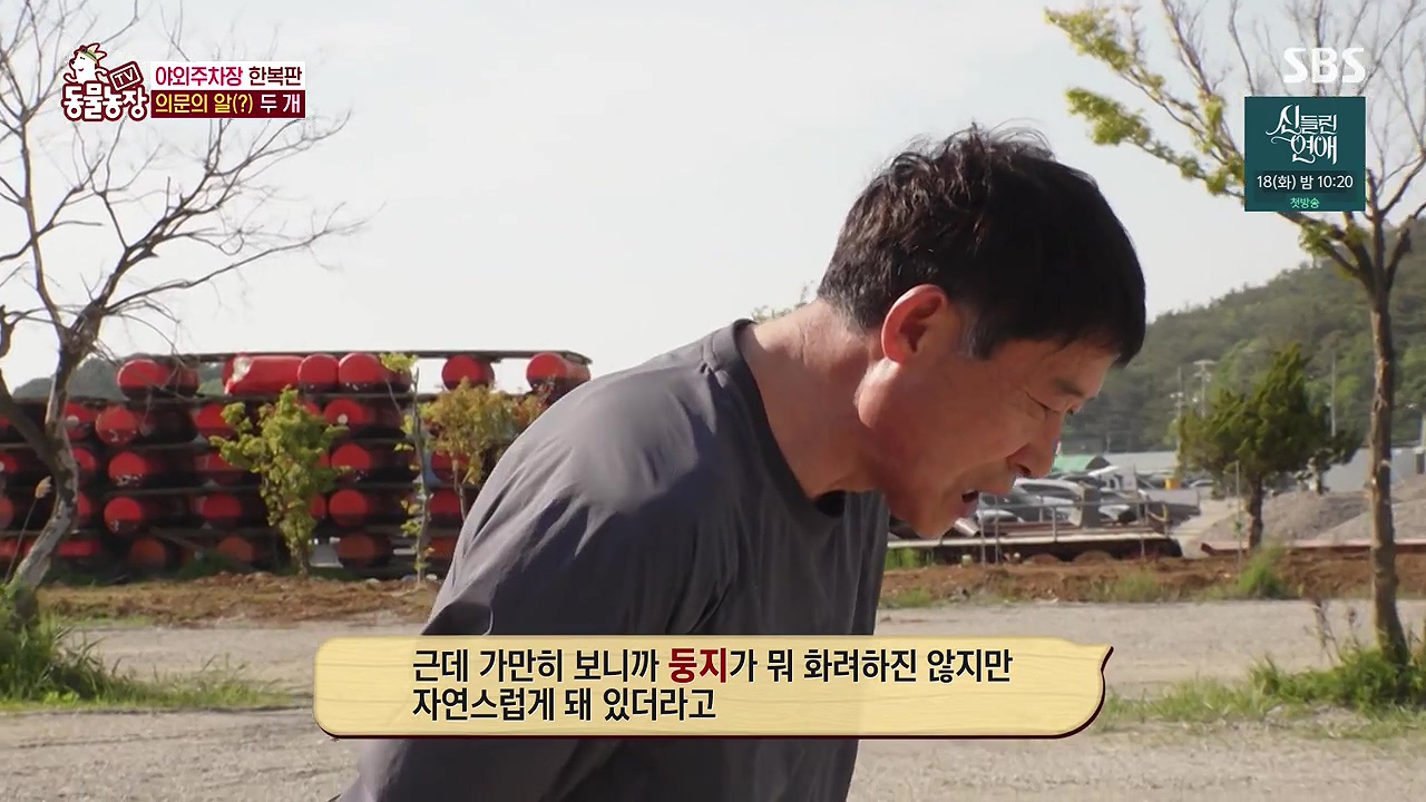 TV 동물농장.E1176.240617p-NEXT.mp4_20240616_170125.915.jpg