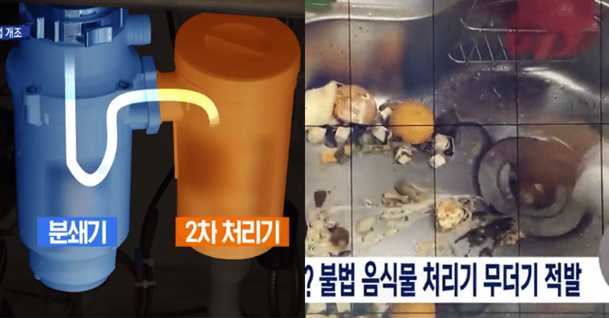  집에 설치된 '음식물 분쇄기'가 불법일 수도 있는 이유