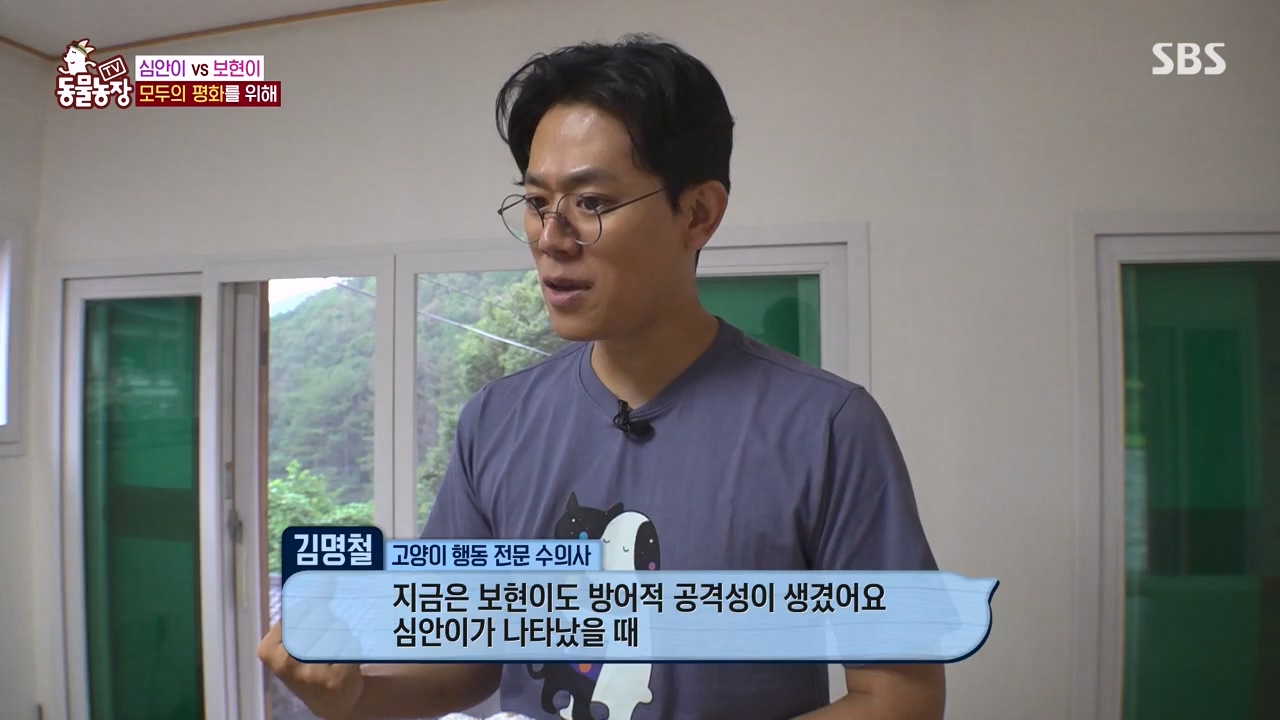 TV 동물농장.E1143.231030p-NEXT.mp4_20231029_164056.100.jpg