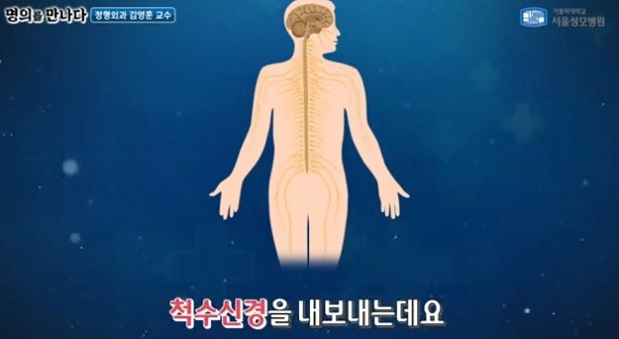 정형외과김영훈