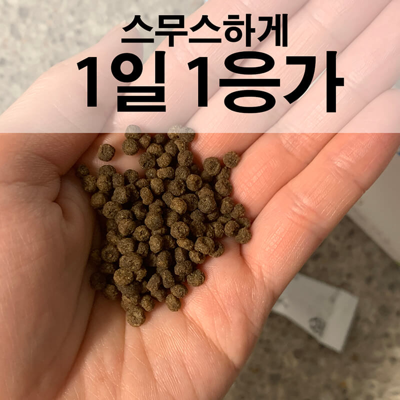  미궁365 대장사랑 오리지널 3달 솔직후기, 저렴하게 사는 방법