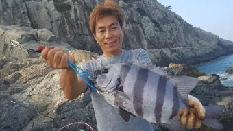 손죽도 배편 시간표 예매 요금_23