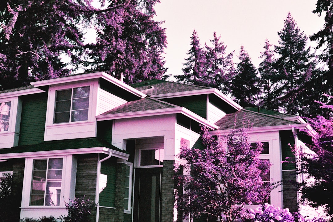 Reverse mortgage.