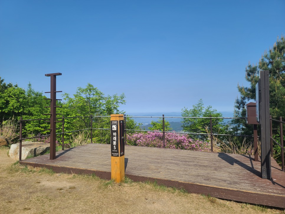 흑약 100대 지리산 바라봉 최단 등산코스 16