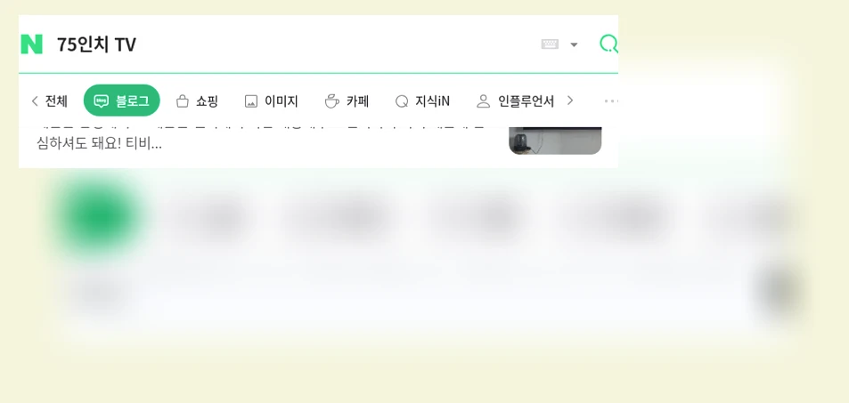 75인치 TV_1_subsection