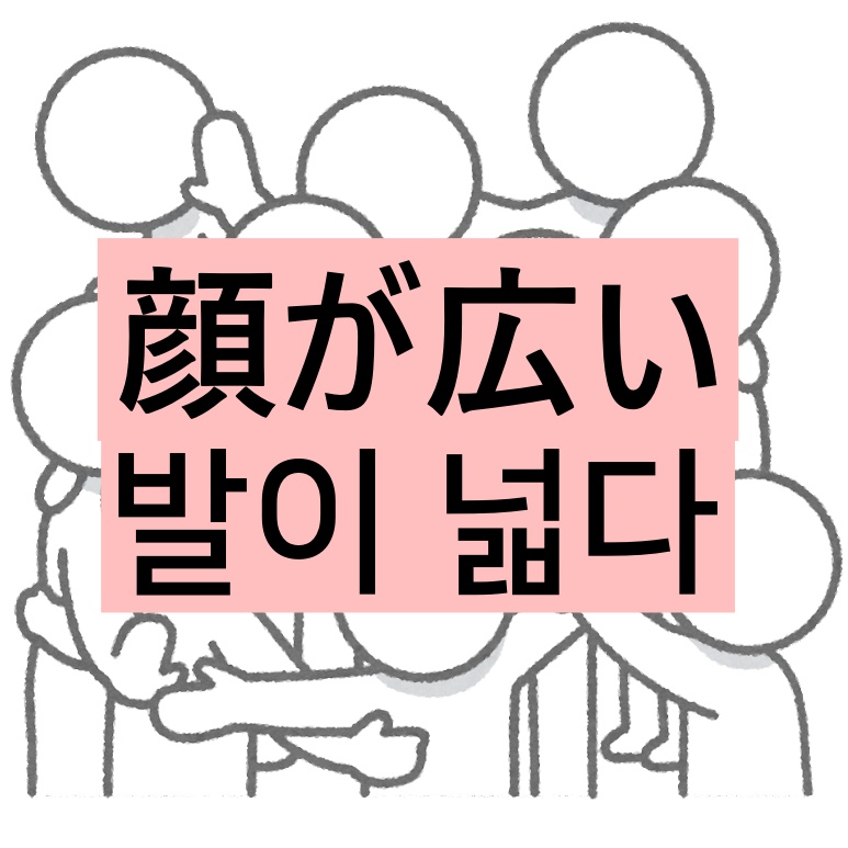  일본어 관용구 하루 한 마디 공부 顔が広い : 발이 넓다