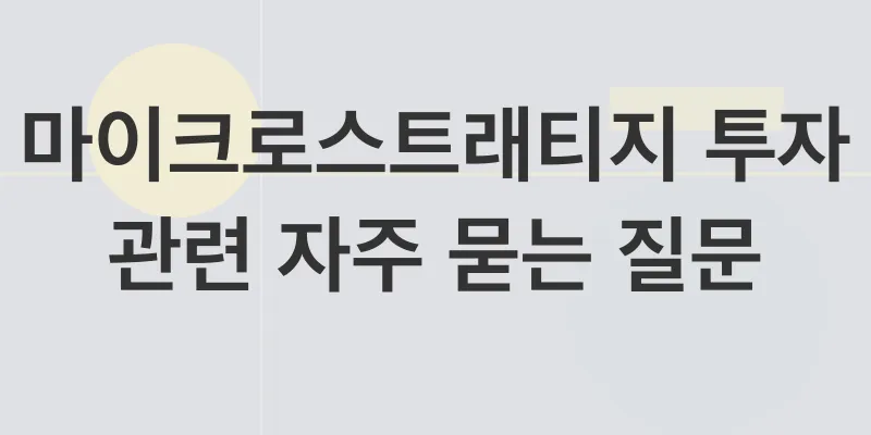 마이크로스트래티지 투자_4