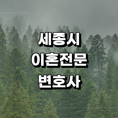 세종시 이혼 변호사