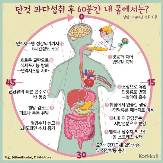 단것 과다 섭취 후 60분간 내 몸에서는?