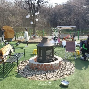 수도권 애견동반 여행지 5선 완벽 가이드 반려견 동반 산책 주말 여행지 추천_12