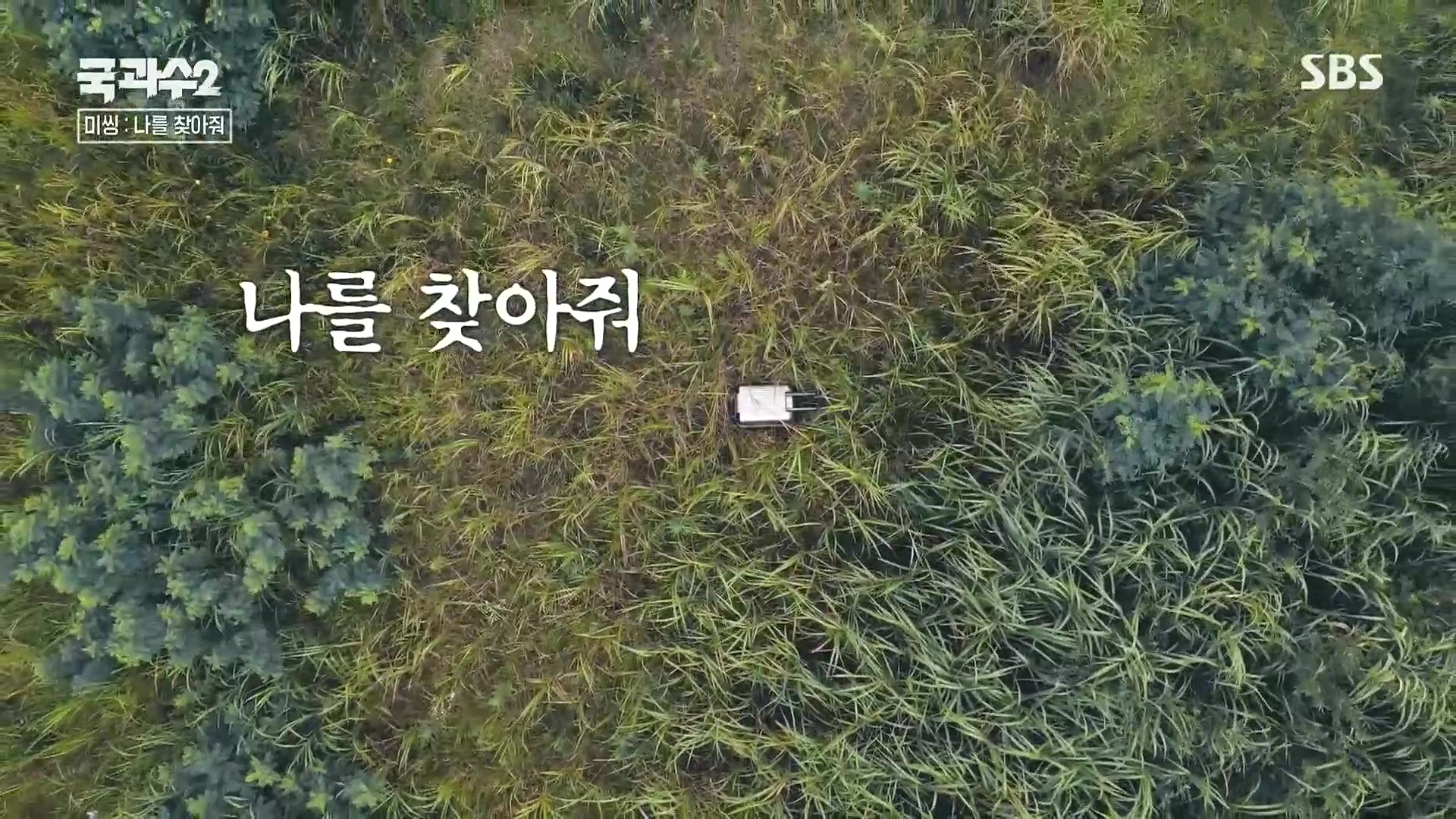 SBS 스페셜.E651.230903p.H264-F1RST.mp4_20230905_205652.551.jpg
