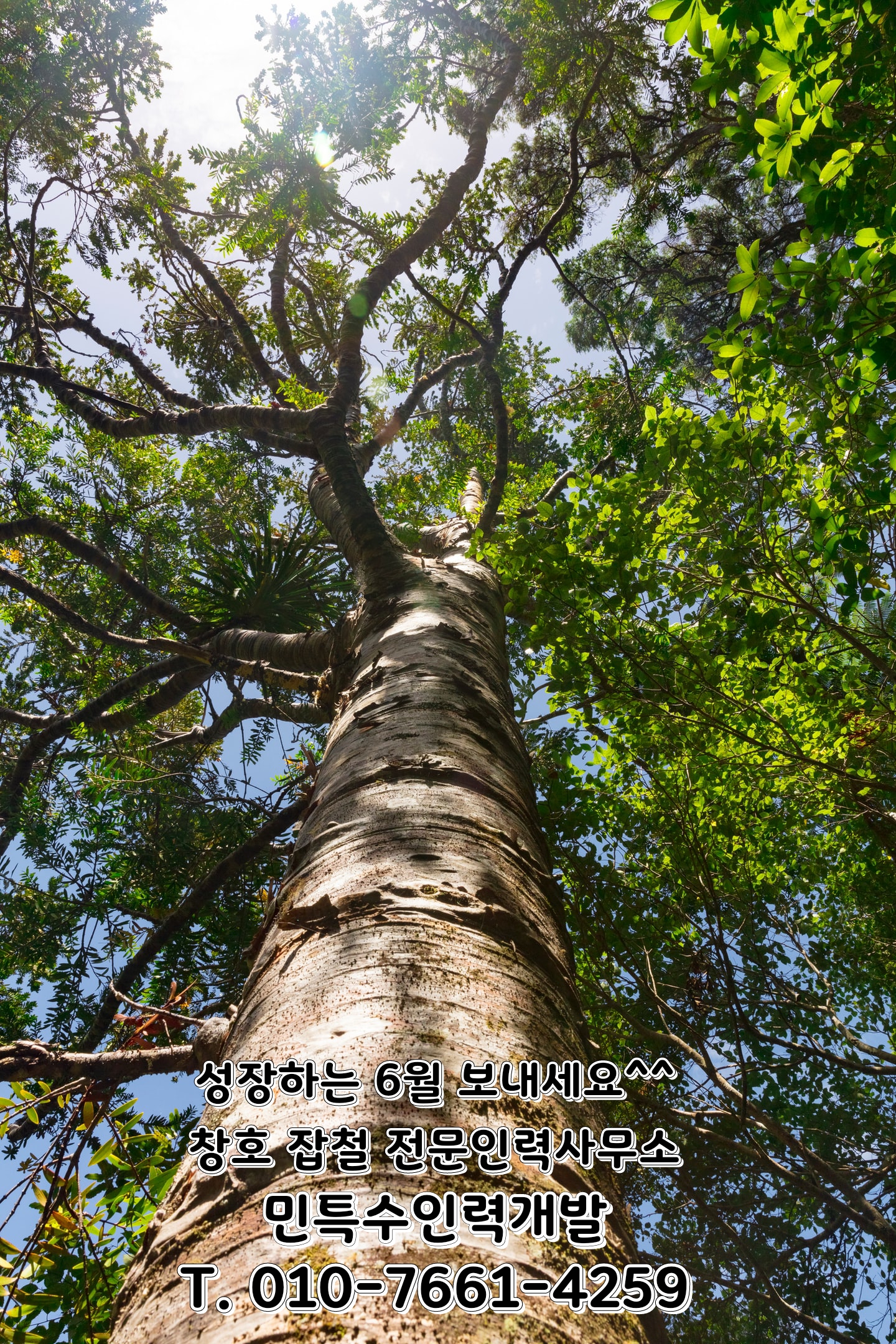 민특수인력개발 이미지