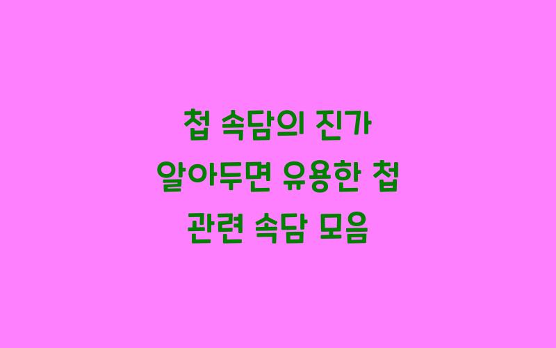 [첩 속담] 첩 관련 속담 모음