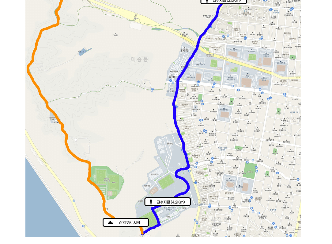 2025년 가을&amp;#44; 염포산 아래를 달리다: 제4회 울산 동구 염포산 전국마라톤대회 한눈 정리