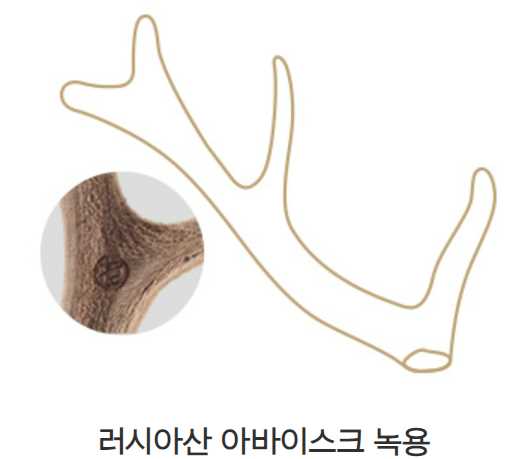 녹용 효능 - 러시아산 아바이스크 녹용
