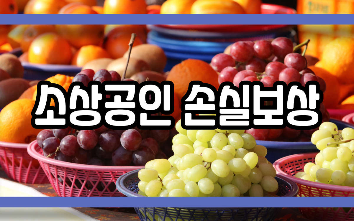  소상공인 손실보상 지원 내용