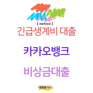 카카오뱅크 비상금대출