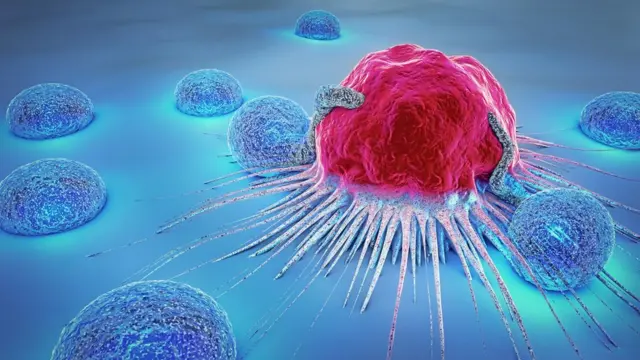암 (Cancer)