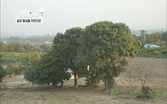 [4회] 자연의 철학자들 - KBS행복하냐고 묻는다면] 흙과 돌, 숲과의 눈맞춤 그리고 물속에서의 숨소리까지 오롯이 김창옥.ts_20220329_191157.915.jpg