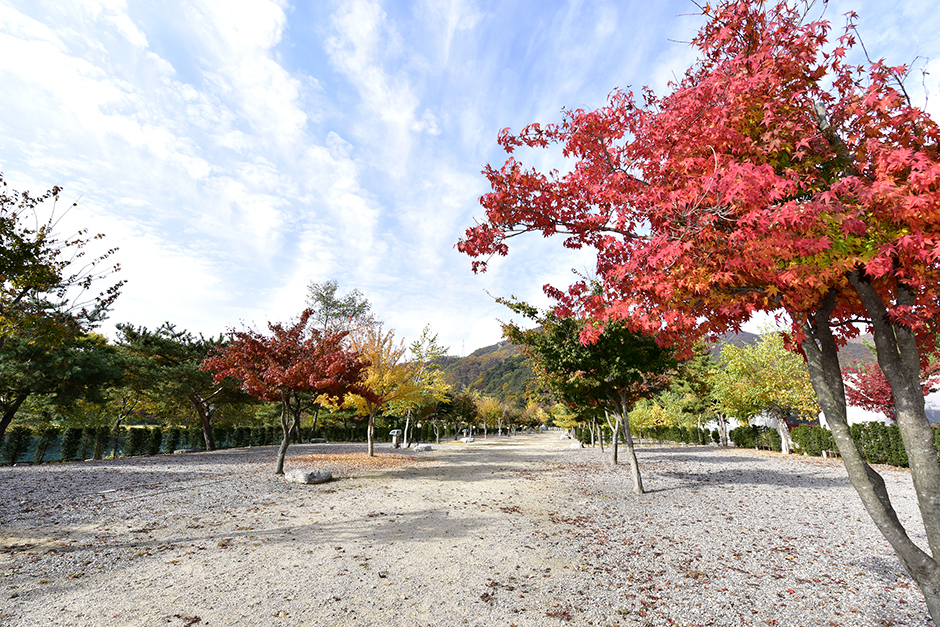 솔바람 캠핑장