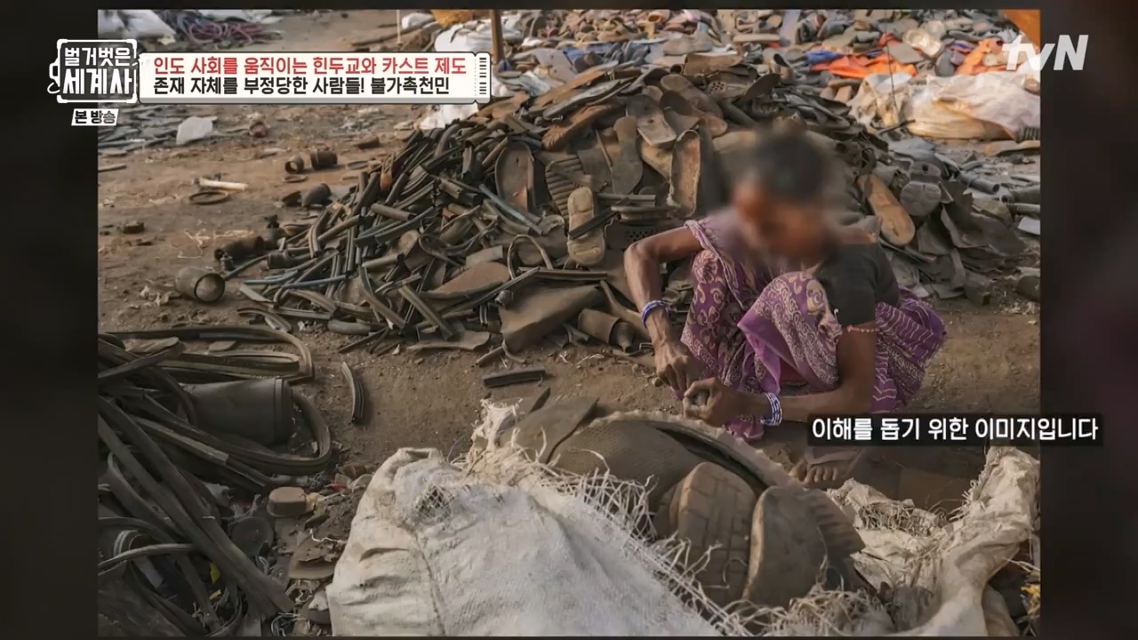 벌거벗은 세계사.E115.230906p-NEXT.mp4_20240406_181742.604.jpg
