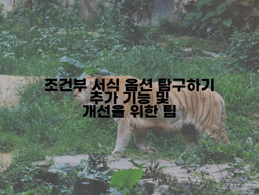 조건부 서식 옵션 탐구하기 추가 기능 및 개선을 위한 팁