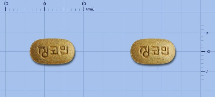 징코민정80mg-외형-이미지