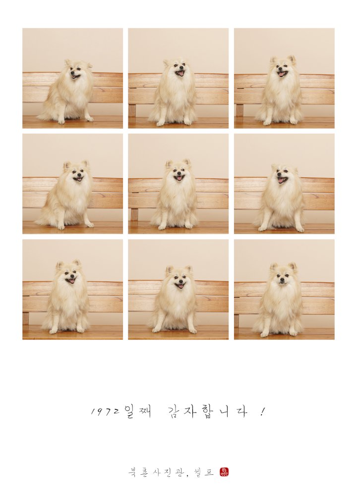 북촌사진관한옥 이미지