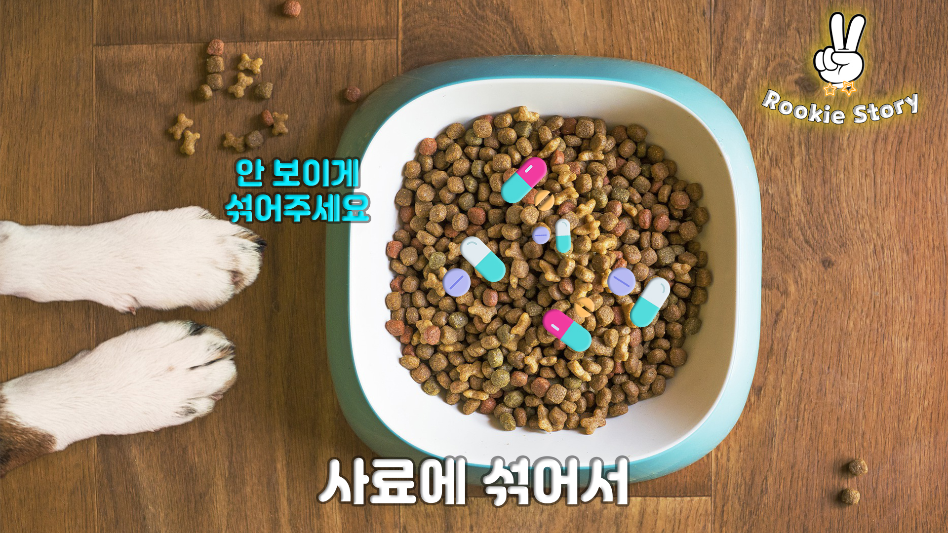  강아지 약 쉽게 먹이기