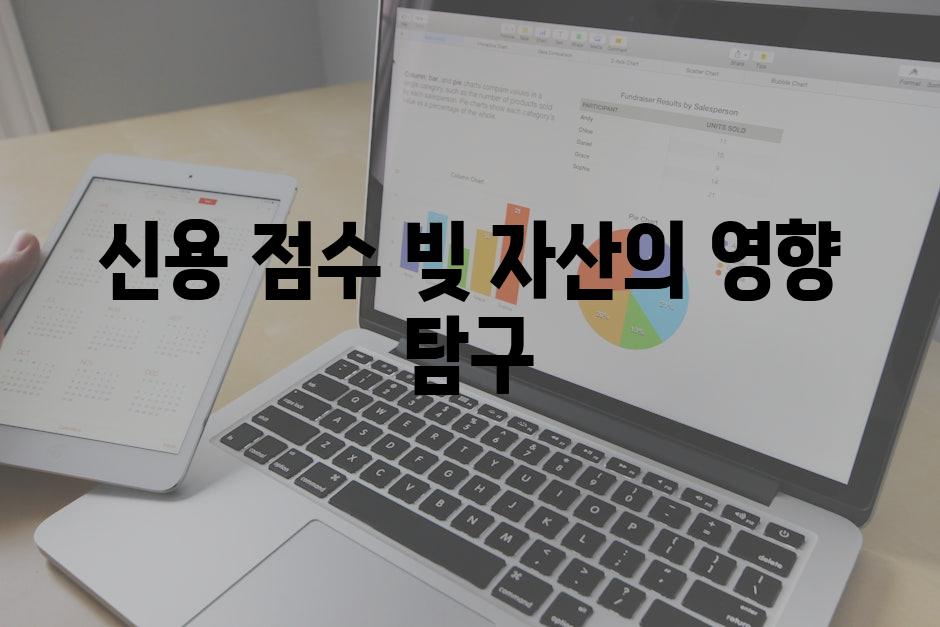 신용 점수 빚 자산의 영향 탐구