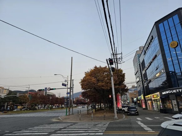  구미 인동 진평 맛집 중화요리 리안 탕수육과 짜장이 좋아요