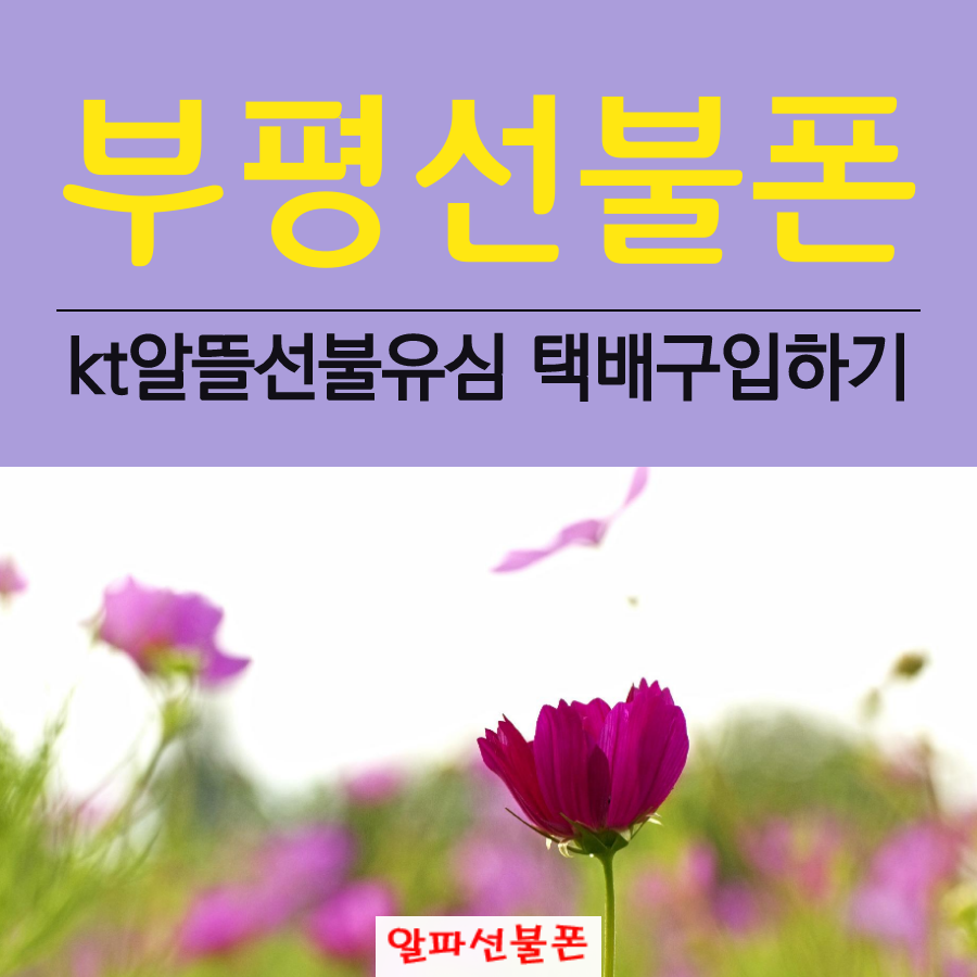  부평선불폰 KT알뜰선불유심 택배구입하기