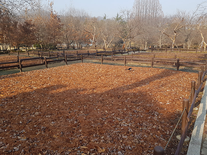 전주 동물원