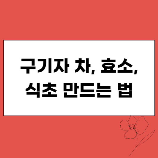  구기자 차 ,구기자 효소, 구기자 식초 만드는 법