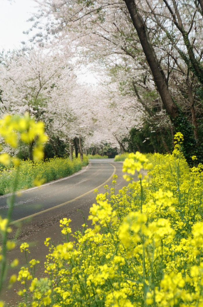  38 제주에서 뭘 바래?
