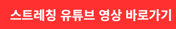 전신(어깨, 종아리) 스트레칭 방법 및 효과 유튜브 영상