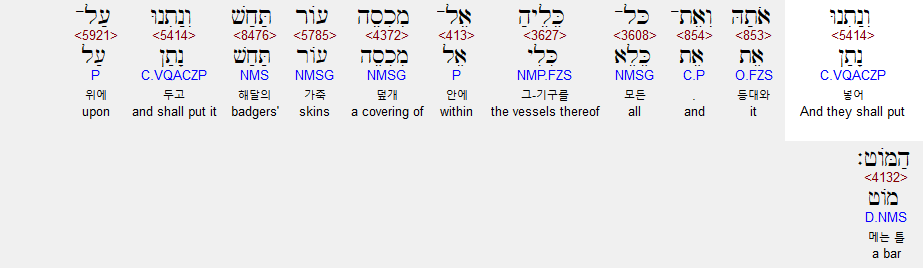 베게드 이미지
