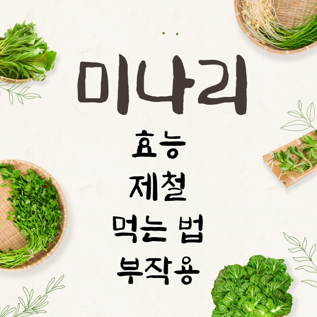 미나리 효능