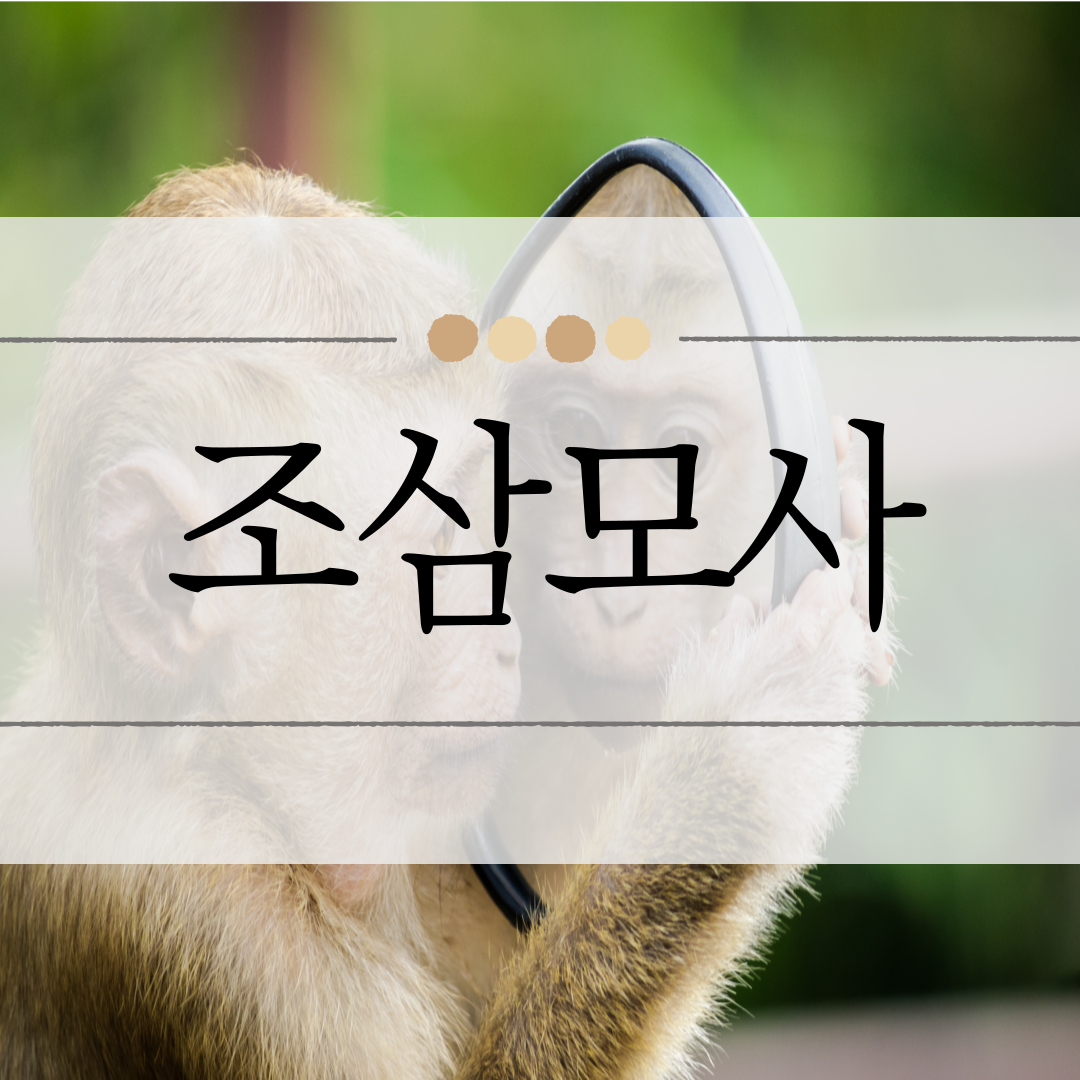 조삼모사 이미지